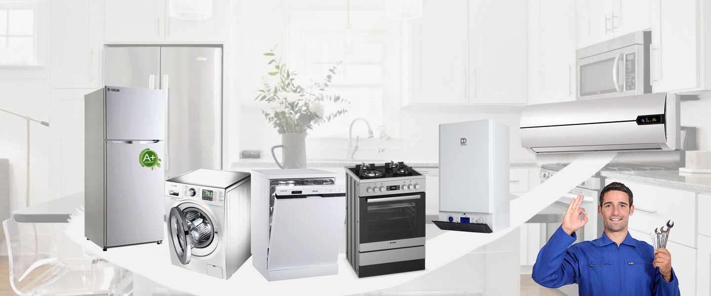 Köyceğiz Daikin Servisi